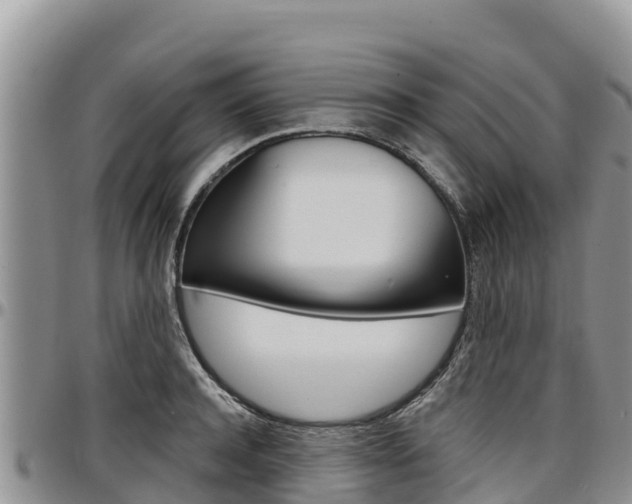 X0000097290944200802151055