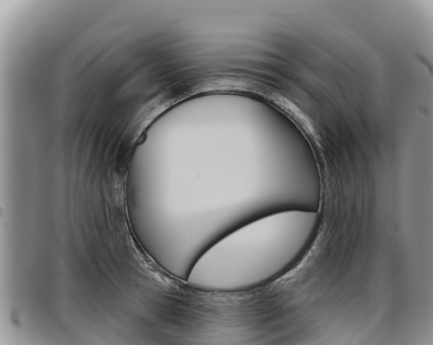 X0000097290945200802151055