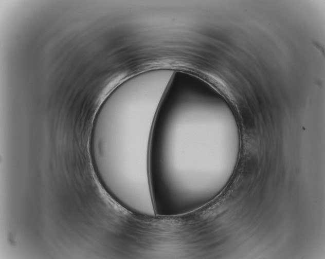 X0000097290946200802151055