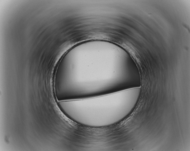 X0000097290947200802151055