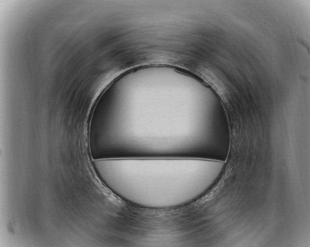 X0000097290948200802151055