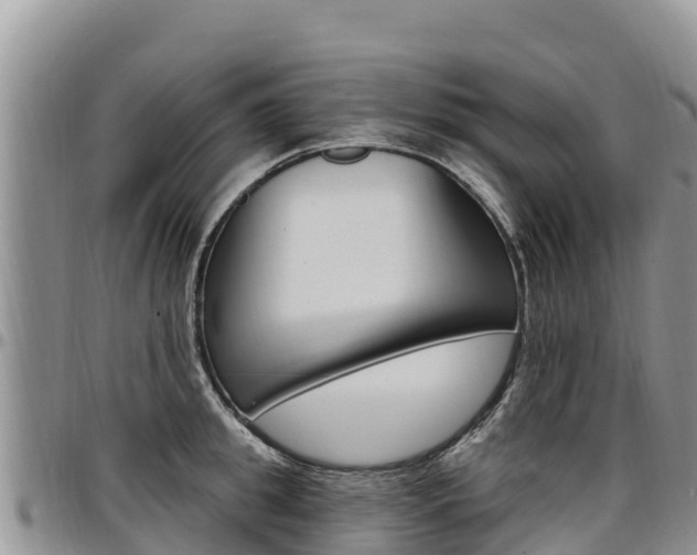 X0000097290949200802151055