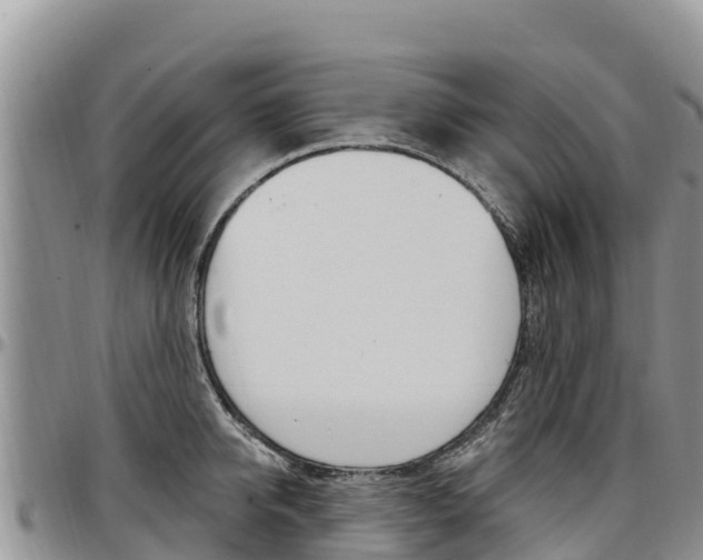 X0000097290950200802151055