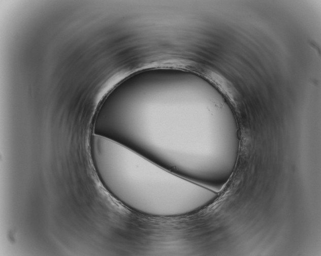X0000097290952200802151055
