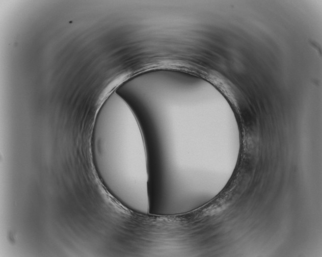 X0000097290954200802151056
