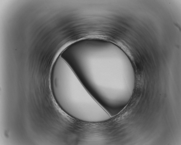 X0000097290955200802151056