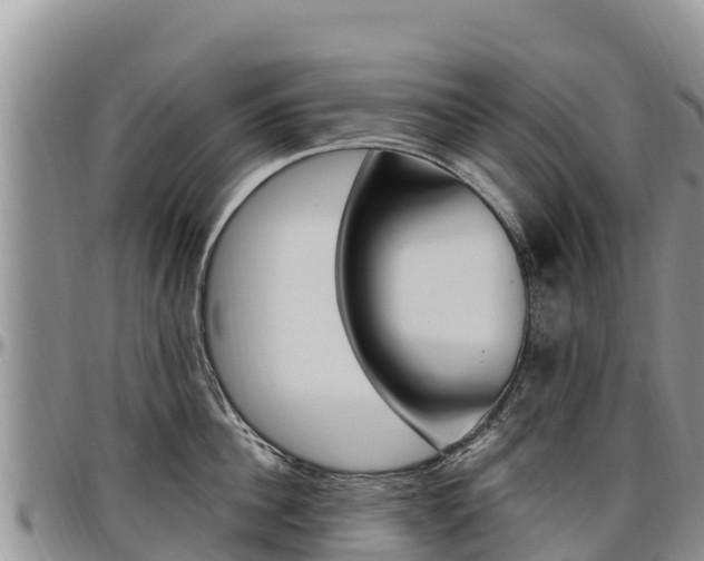 X0000097290956200802151056