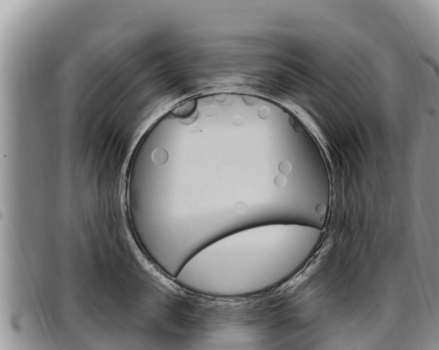 X0000097290957200802151056