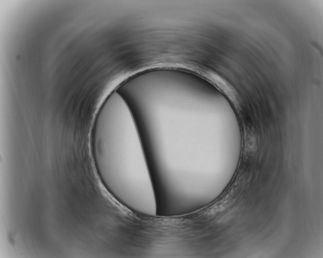 X0000097290958200802151056