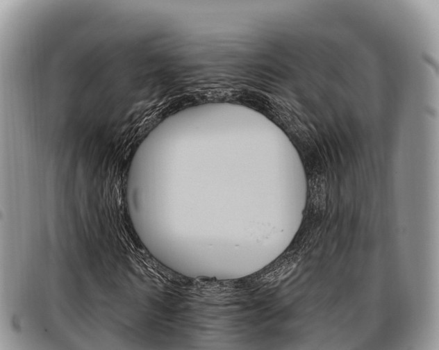 X0000097290962200802151055