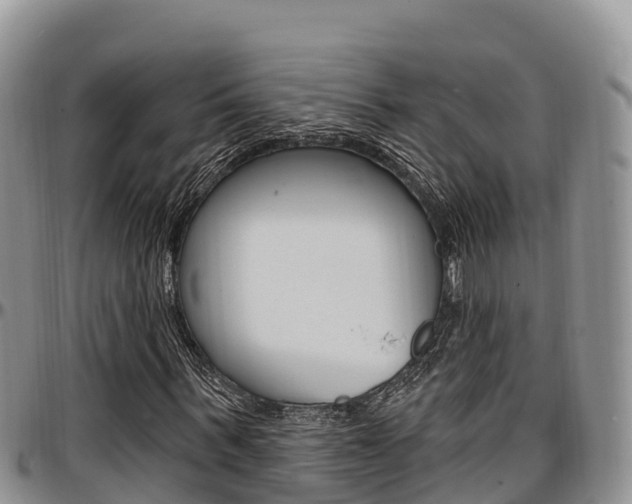 X0000097290963200802151055