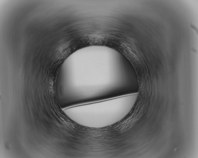 X0000097290964200802151055