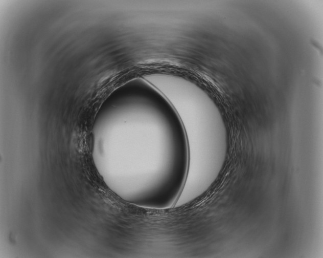 X0000097290965200802151055