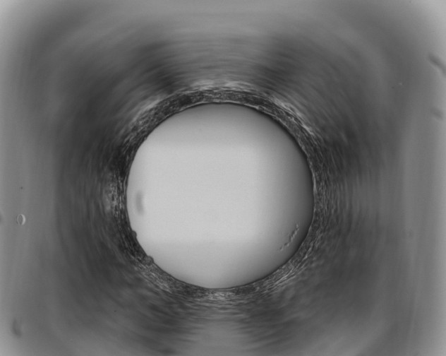 X0000097290966200802151055