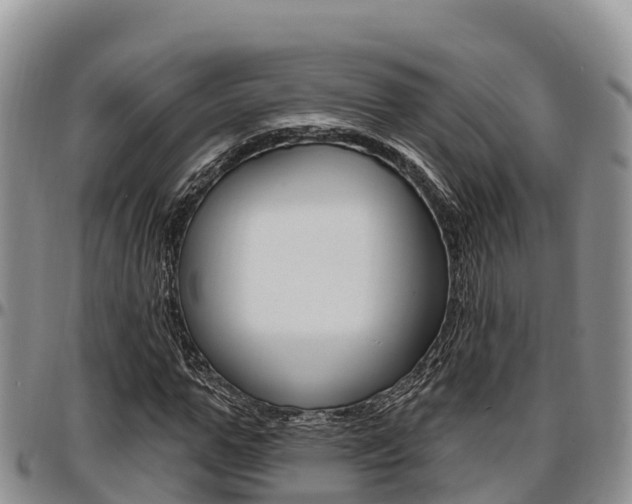 X0000097290967200802151055