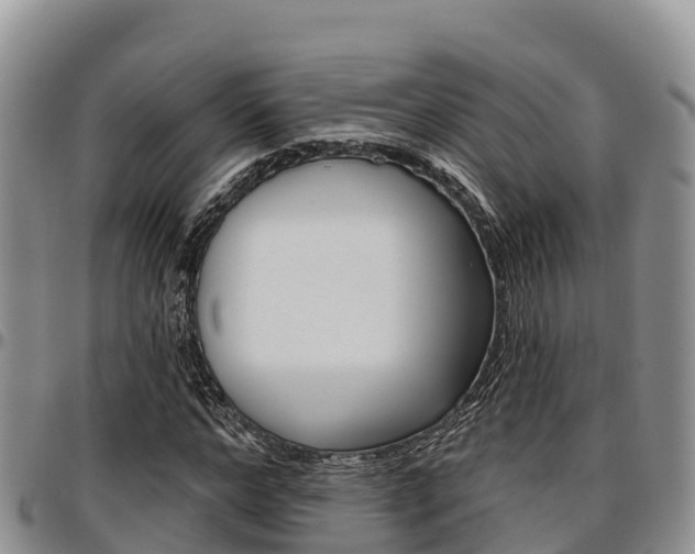 X0000097290968200802151055