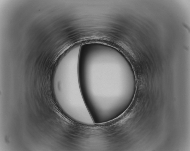 X0000097290969200802151055