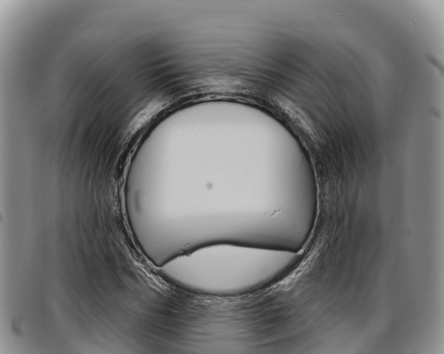 X0000097290970200802151055