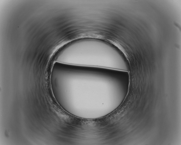 X0000097290971200802151055