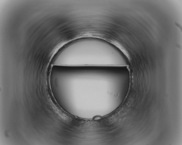 X0000097290972200802151055