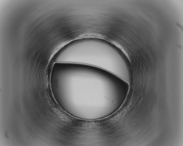 X0000097290973200802151055