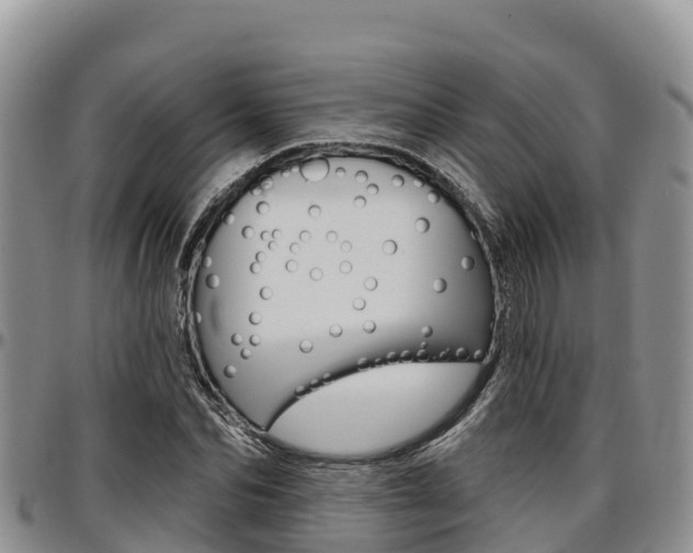 X0000097290974200802151055