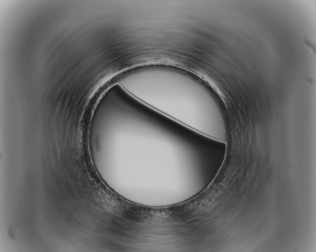 X0000097290975200802151055