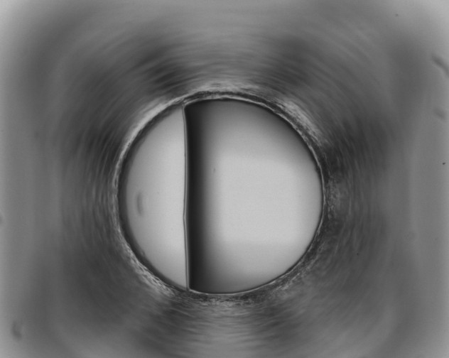X0000097290976200802151055
