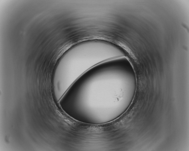 X0000097290977200802151055