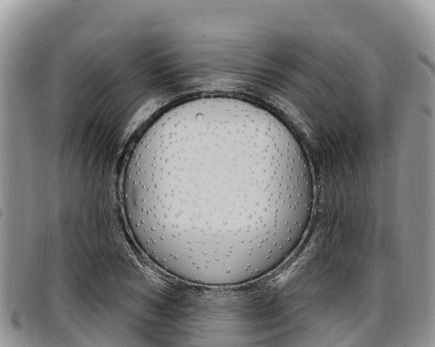 X0000097290978200802151055