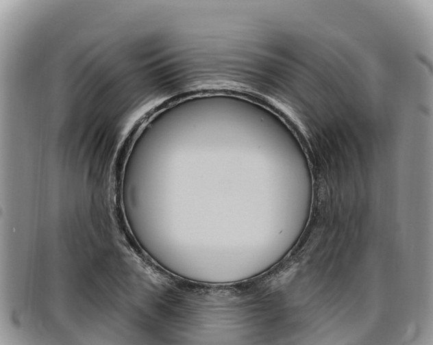 X0000097290979200802151055