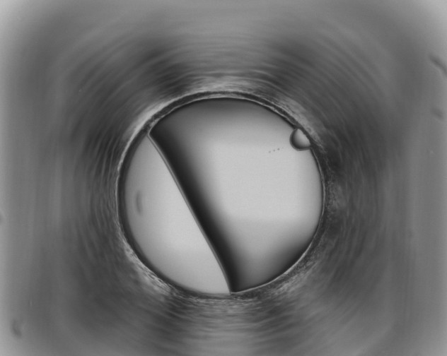 X0000097290980200802151055