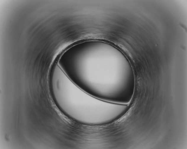 X0000097290981200802151055