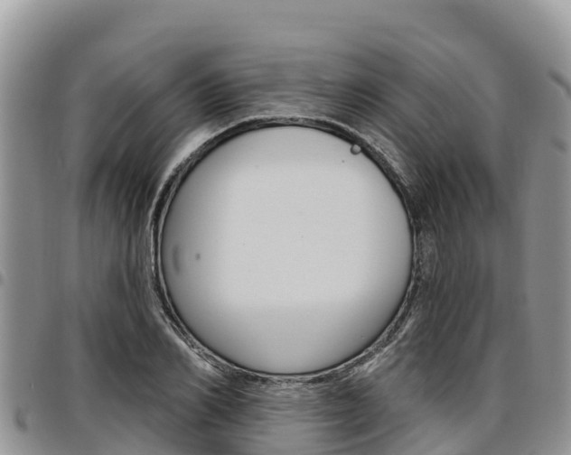 X0000097290982200802151054