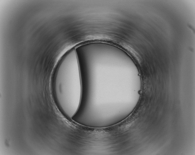 X0000097290983200802151054