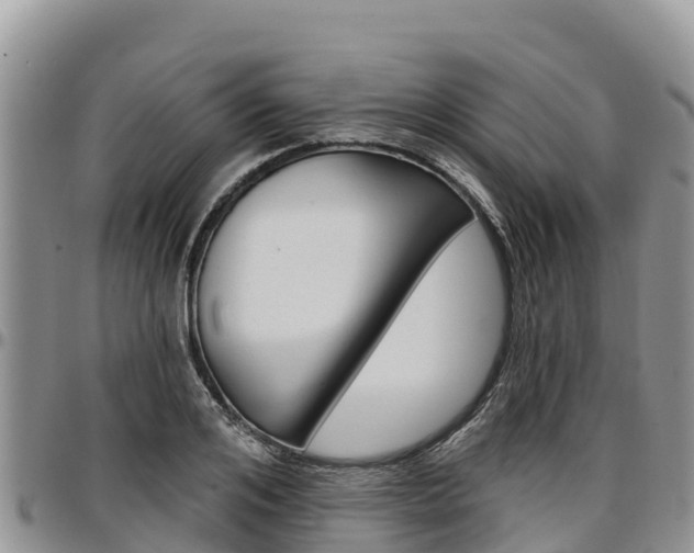 X0000097290984200802151054