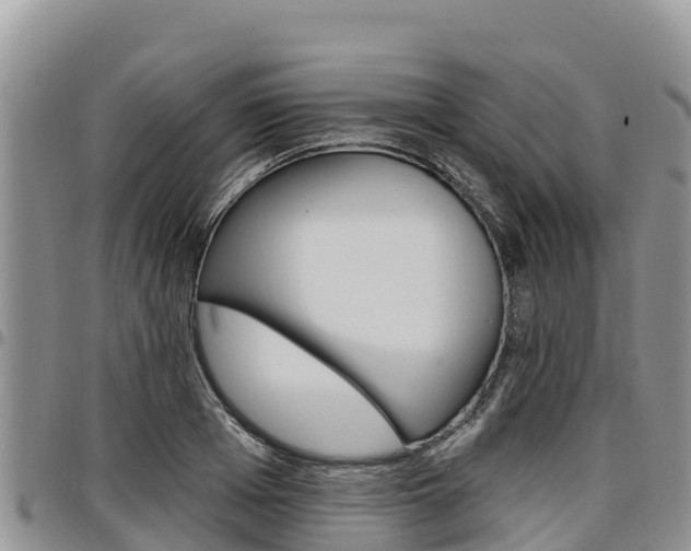 X0000097290985200802151054