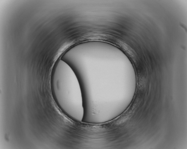 X0000097290986200802151054