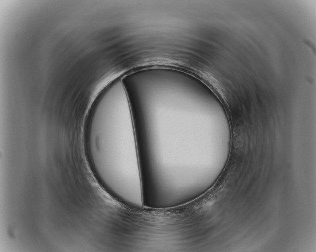 X0000097290987200802151054