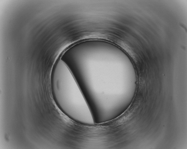 X0000097290988200802151054