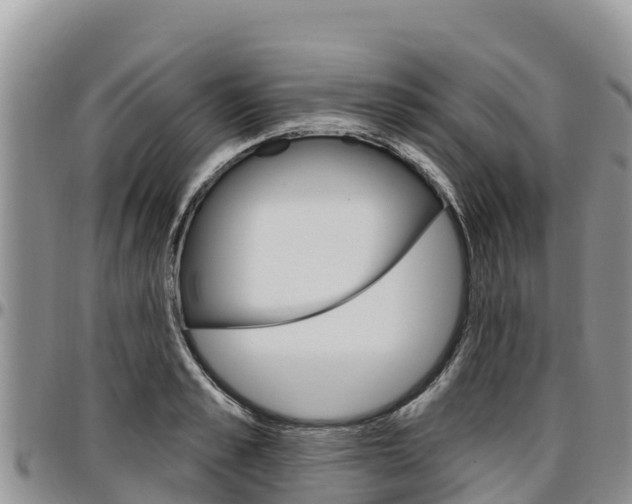 X0000097290989200802151054