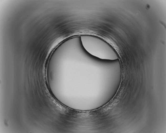 X0000097290990200802151054