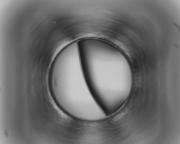 X0000097290991200802151054