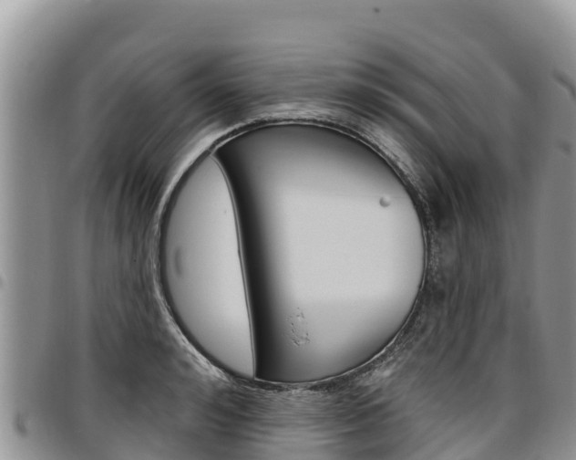 X0000097290992200802151054