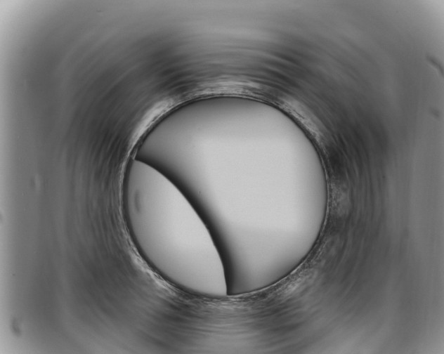 X0000097290994200802151054