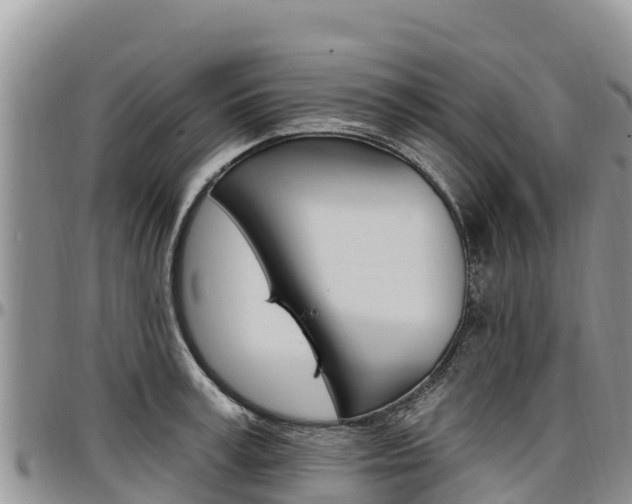 X0000097290995200802151054