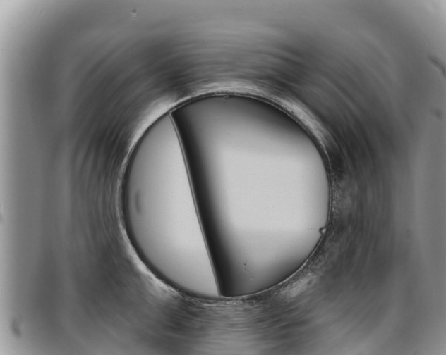 X0000097290999200802151054