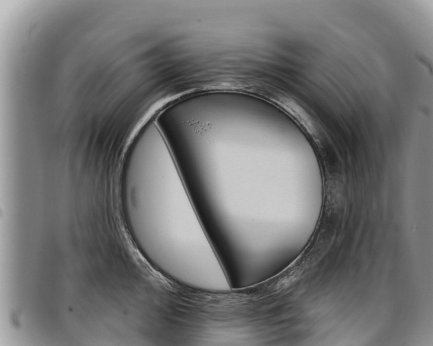 X0000097291000200802151054