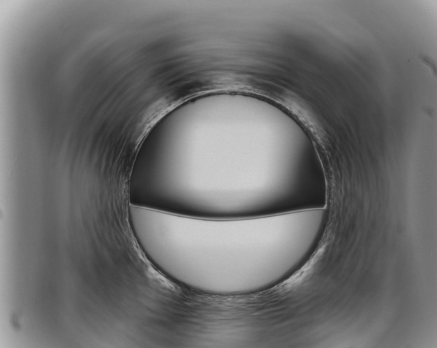 X0000097291001200802151054