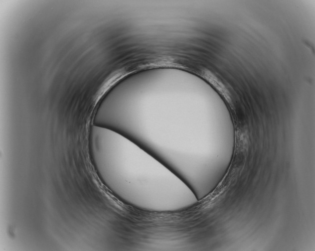 X0000097291002200802151054